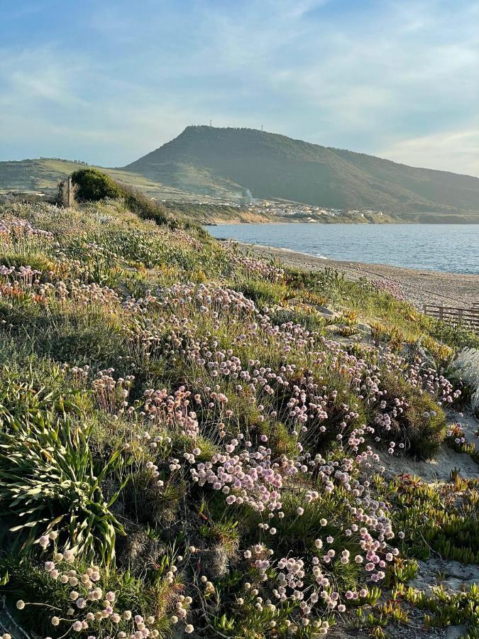 Casa vacanze Zaffiro Al Mare *